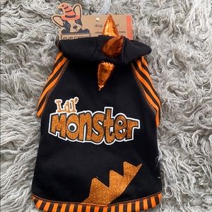 Halloween dog outfit